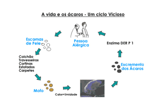 doenças causadas pelos ácaros